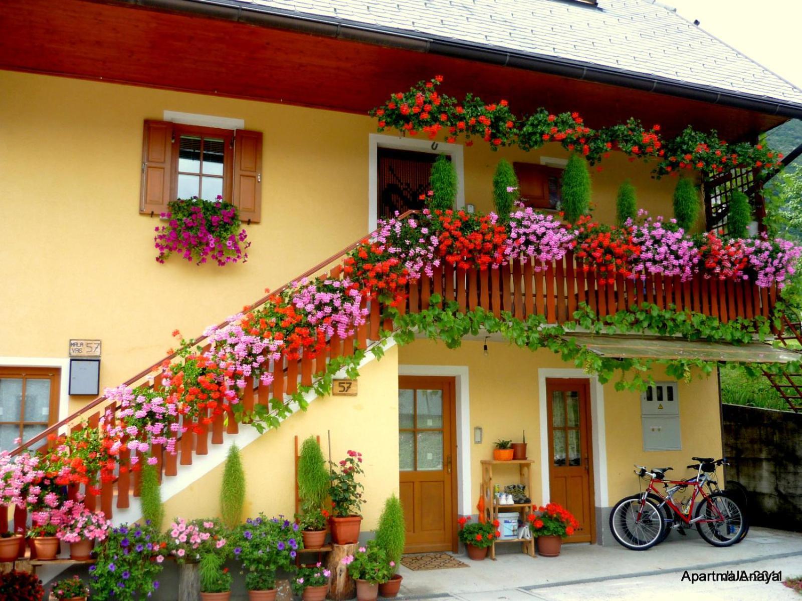 Apartment Anaya Paradise For Families Бовец Экстерьер фото