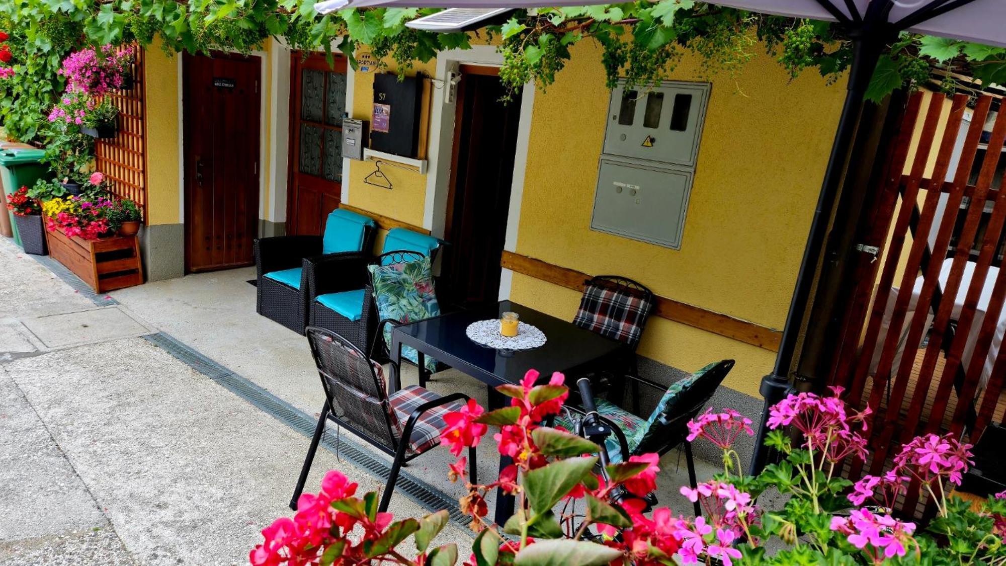 Apartment Anaya Paradise For Families Бовец Экстерьер фото